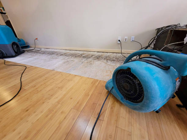 Professional Water Removal technician working in Jackson, WI
